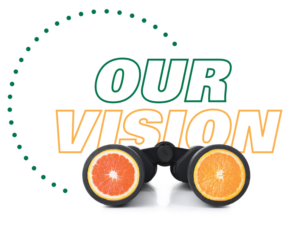 Our Vision 8.1x11