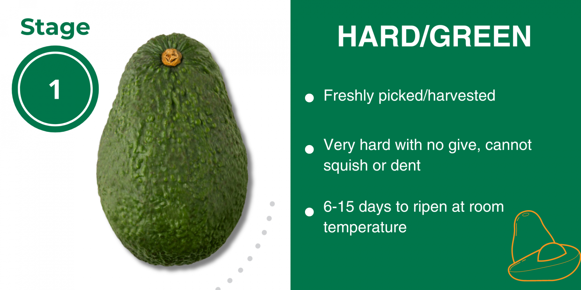 Ripening Solutions &ndash; Gambles Produce