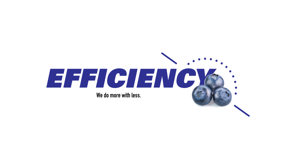 Efficiency. We do more with less.